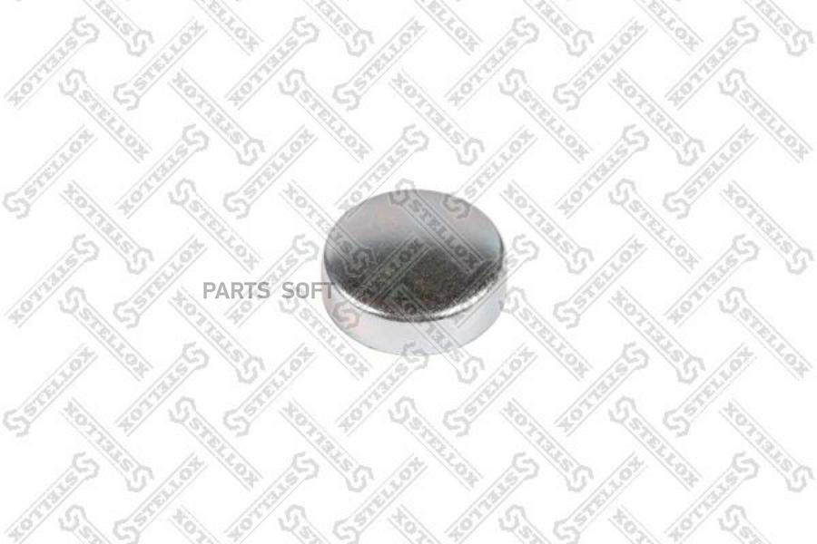 

81-97303-Sx_Заглушка Гбц (М) D=45 Daf Stellox 8197303Sx