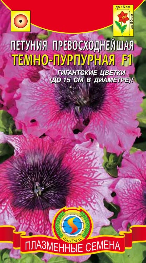 

Петуния "Плазмас" Темно-пурпурная F1 10шт