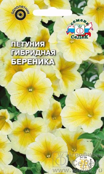 

Петуния "Седек" Береника F1 10шт