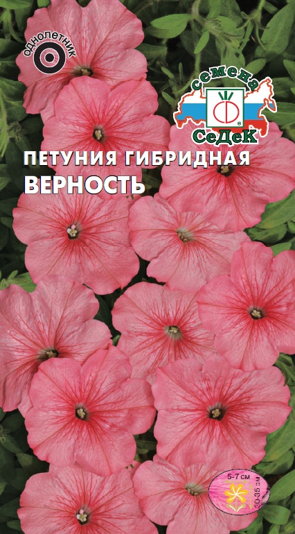 

Петуния "Седек" Верность F1 10шт
