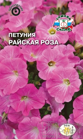 

Семена петуния СеДеК Райская роза 1 уп.