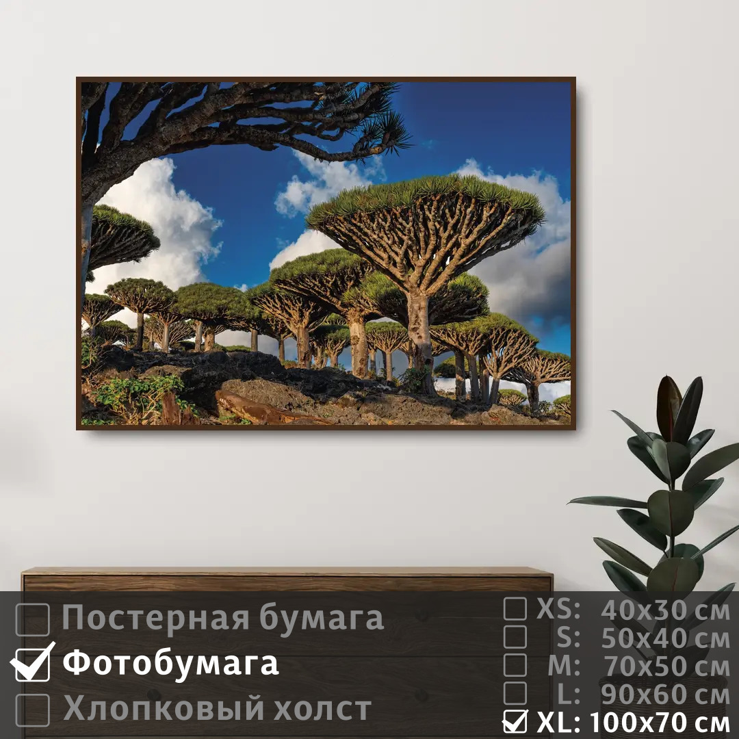 

Постер на фотобумаге ПолиЦентр Тропические необычные деревья 100х70 см, ТропическиеНеобычныеДеревья1