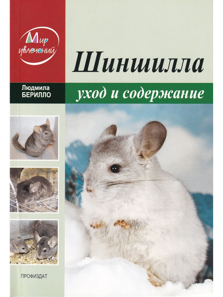 

Шиншилла.Уход и содержание.