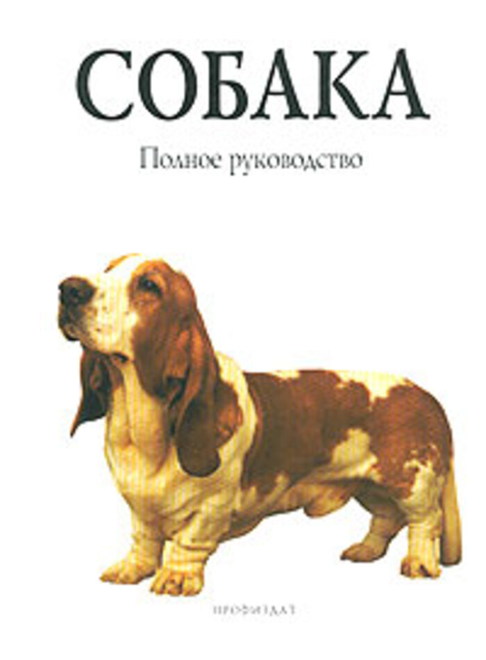 

Собака