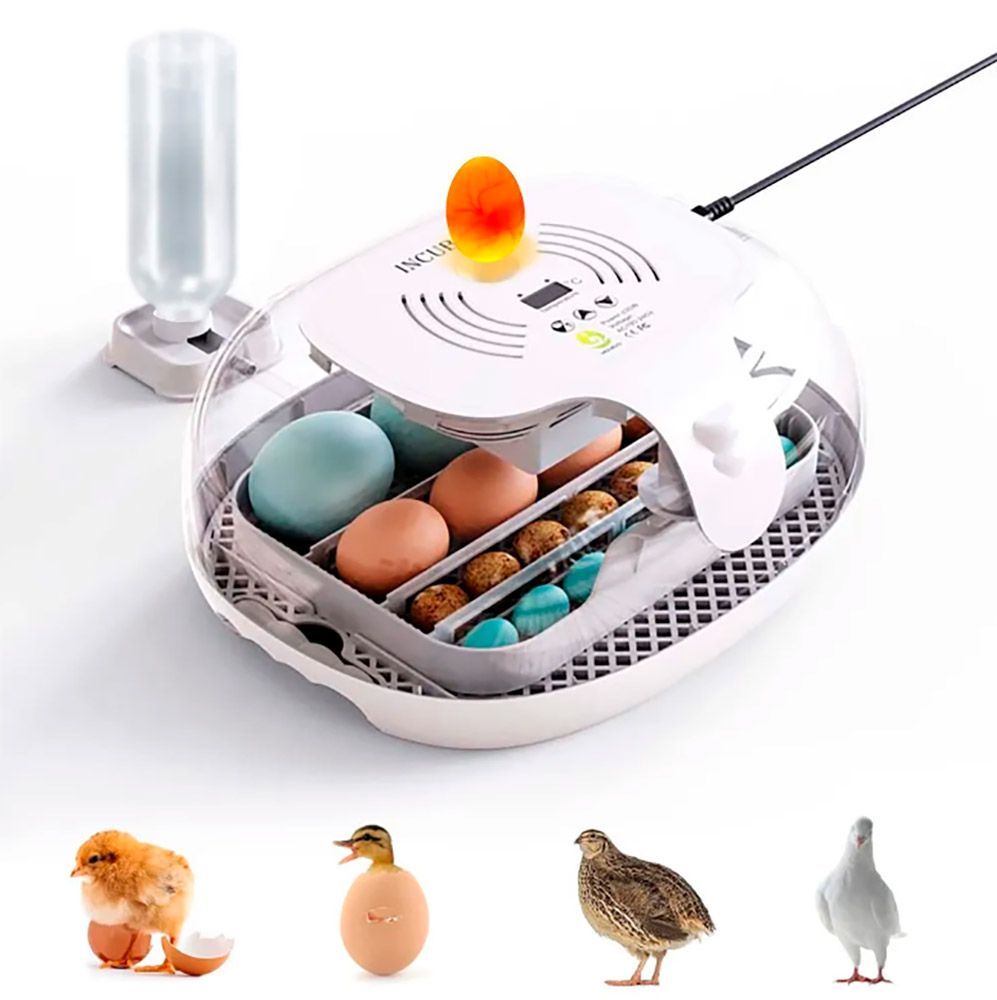 Инкубатор HHD 16, автоматический переворот на 16 яиц с встроенным овоскопом, пластик