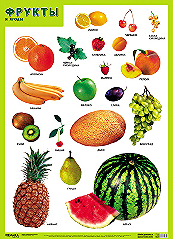 Развивающие плакаты Мозаика-Синтез Фрукты и ягоды как растут ягоды орехи и фрукты