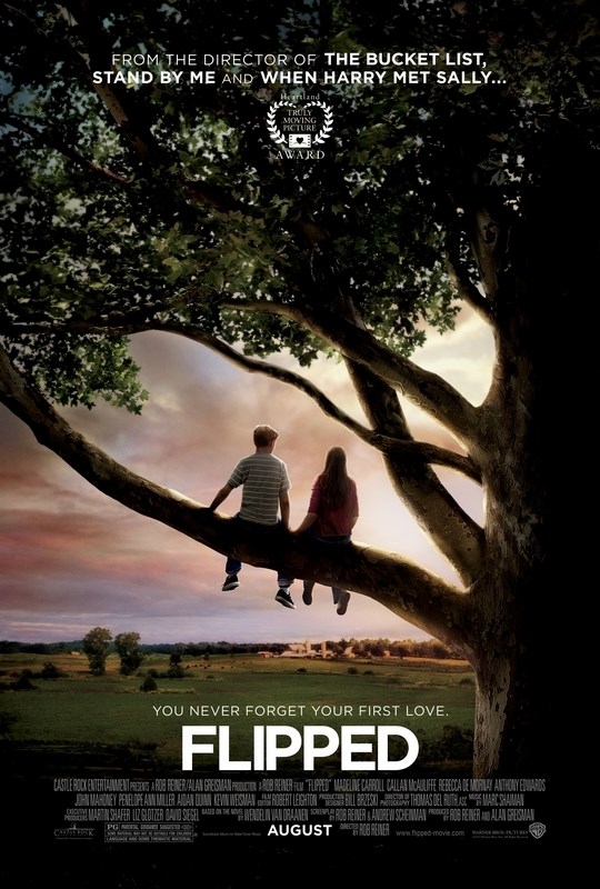 

Постер к фильму "Привет, Джули!" (Flipped) Оригинальный 68,6x101,6 см
