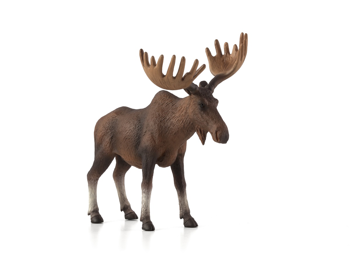 Moose eu main. Фигурка Mojo Woodland Белохвостый олень 387038. Mojo фигурка Лось. Фигурка Mojo Woodland Олененок 387036. Mojo animal Planet.