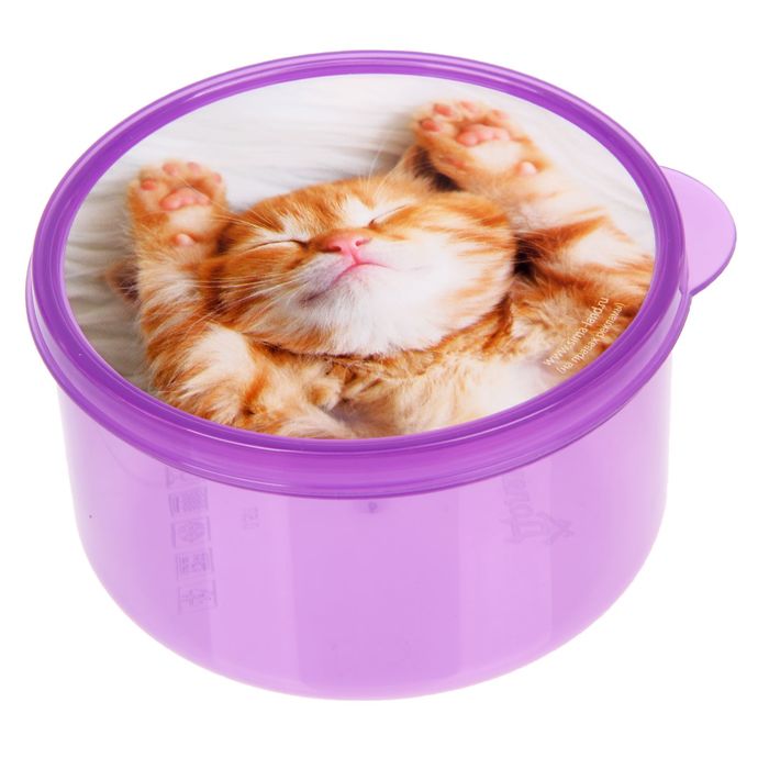 

Ланч-бокс Котенок, 0.5 л, Разноцветный
