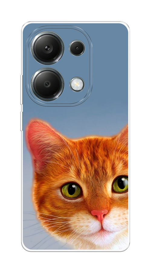 

Чехол на Poco M6 Pro 4G "Любопытный котик", Коричневый, 321750-1