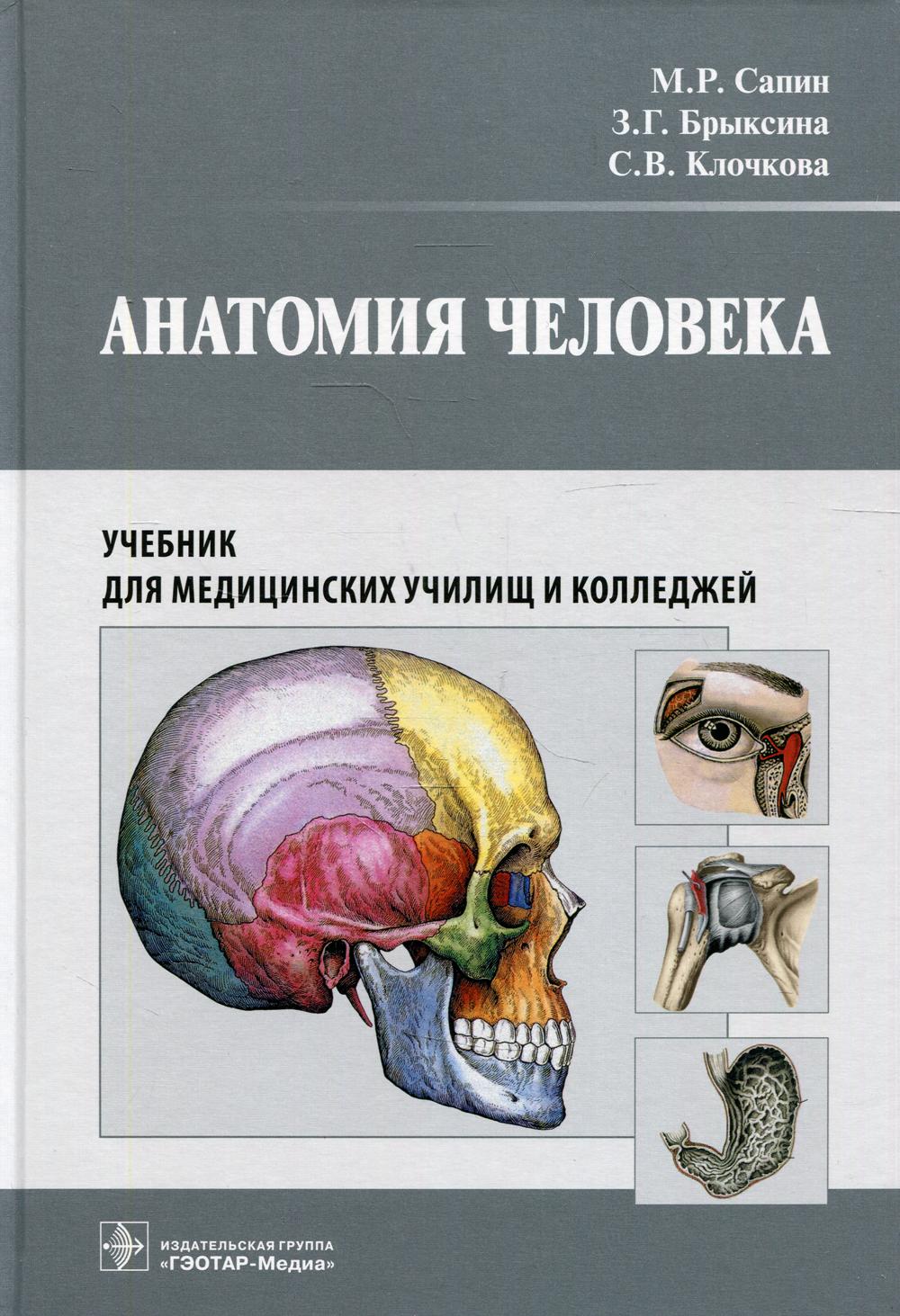 

Анатомия человека