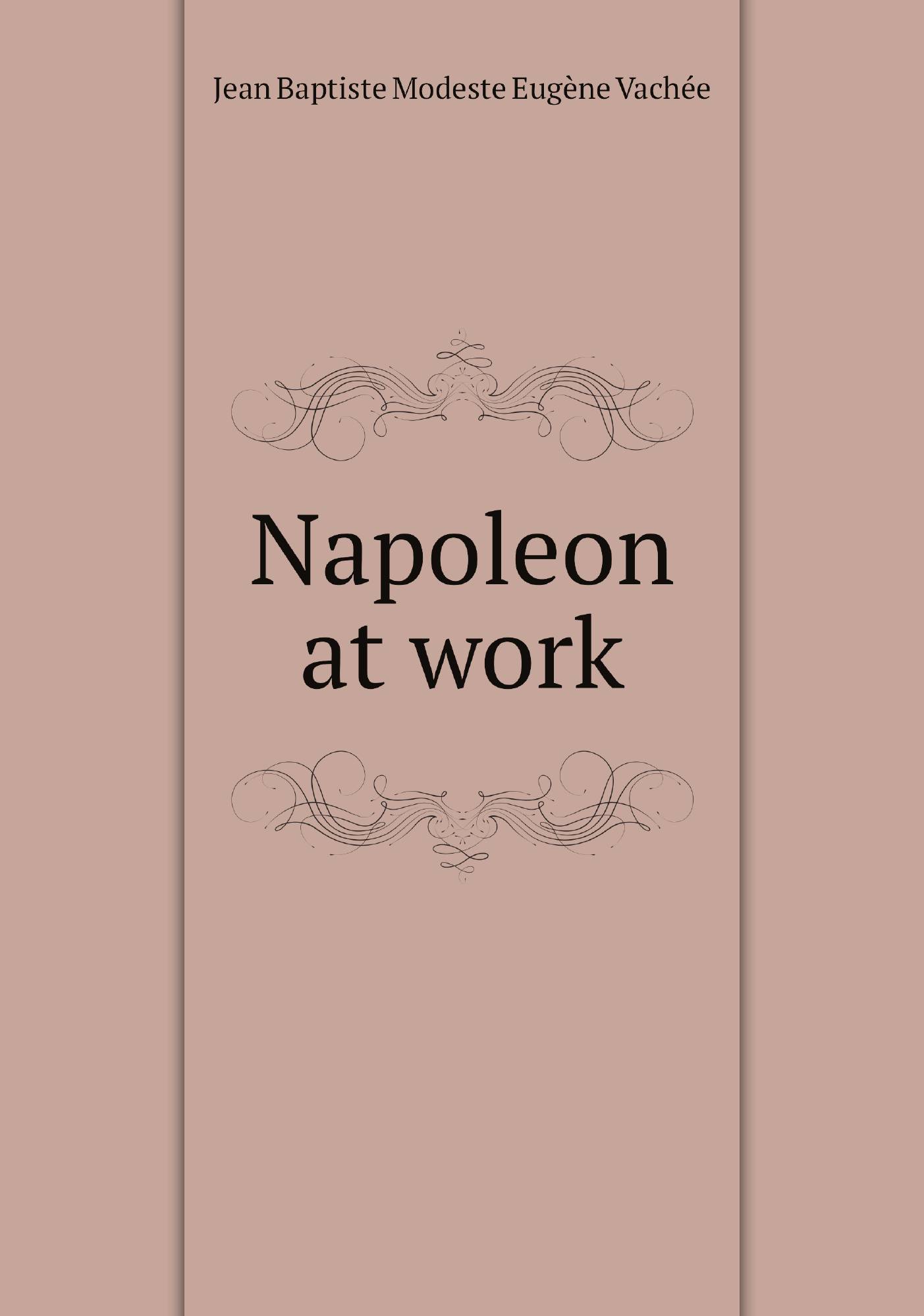 

Napoleon at work