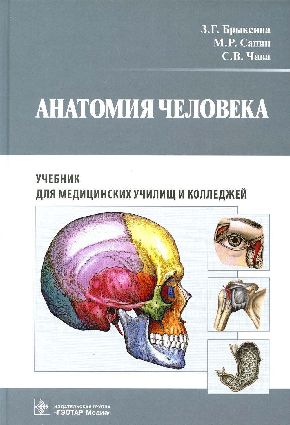 

Книга Анатомия человека