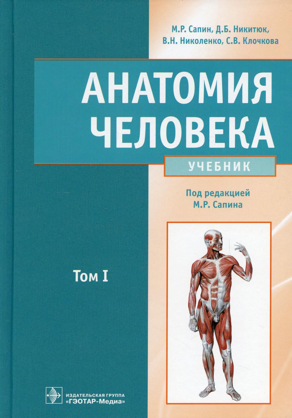 

Анатомия человека