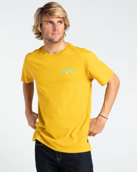 фото Футболка мужская billabong w1ss45-bip1 желтая 2xl