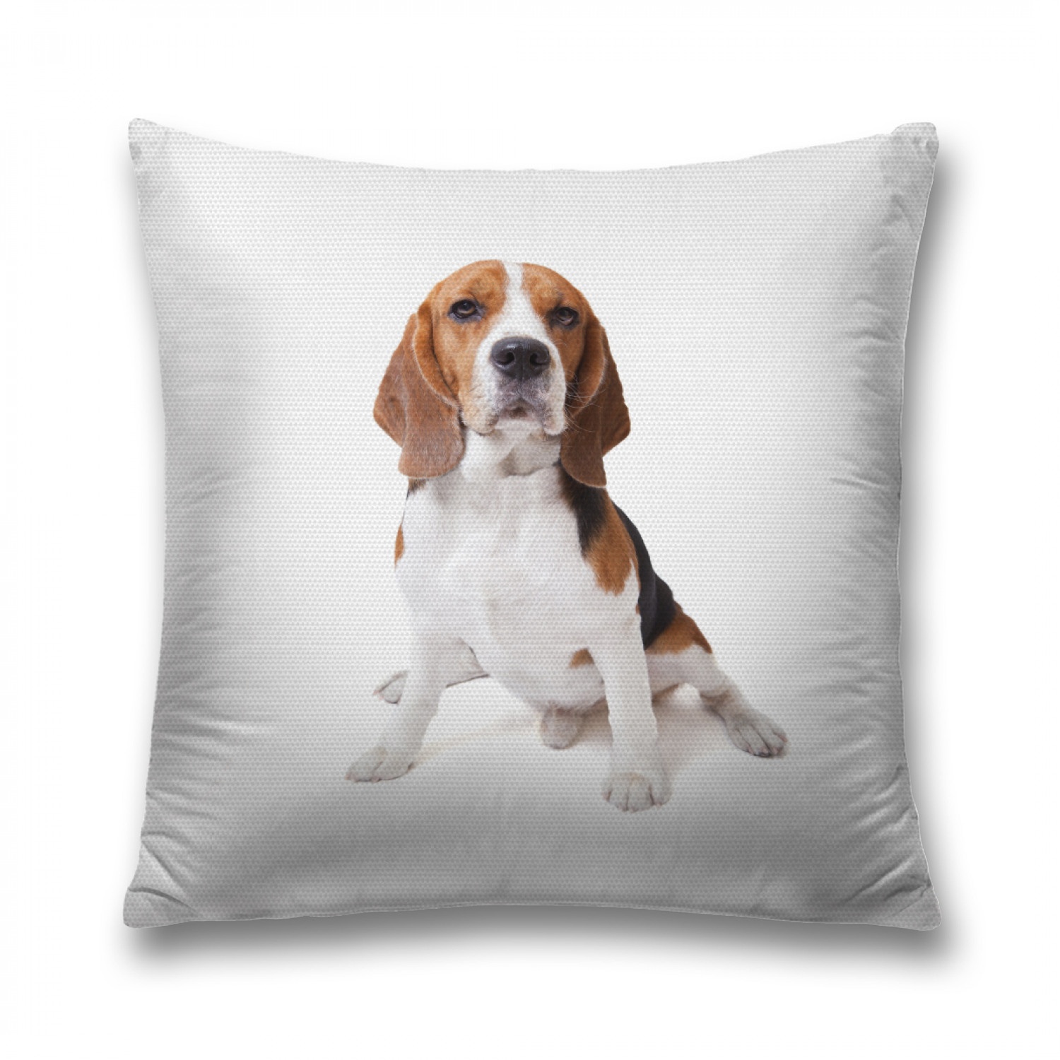

Наволочка декоративная JoyArty "Щенок породы бигль" на молнии, 45x45 см, Белый, Щенок породы бигль