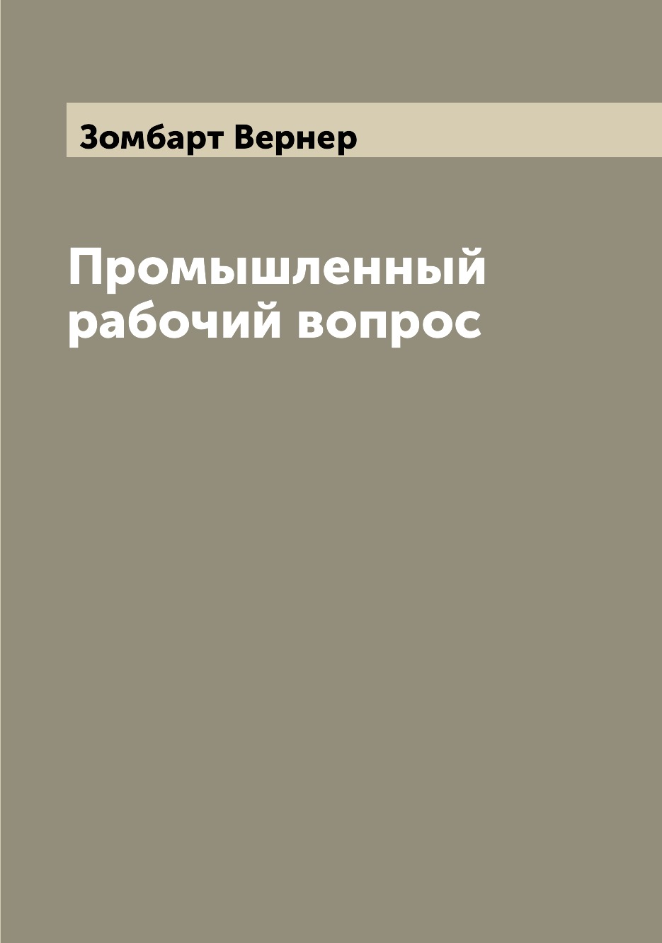 

Книга Промышленный рабочий вопрос