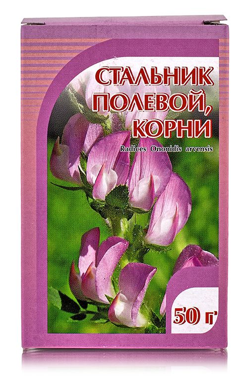 Полевой корень. Стальника Пашенного корни. Стальник полевой корни. Стальник полевой препараты. Стальник корневище.