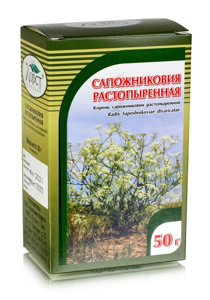 

Сапожниковия растопыренная, корень 50гр.