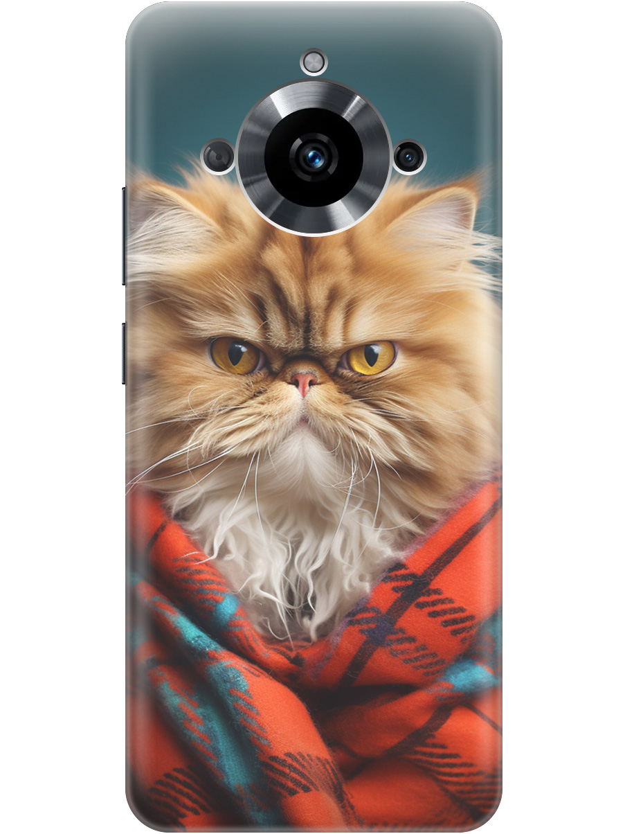 

Силиконовый чехол на Realme 11 с рисунком "Недовольный котик", Красный;синий, 20000085
