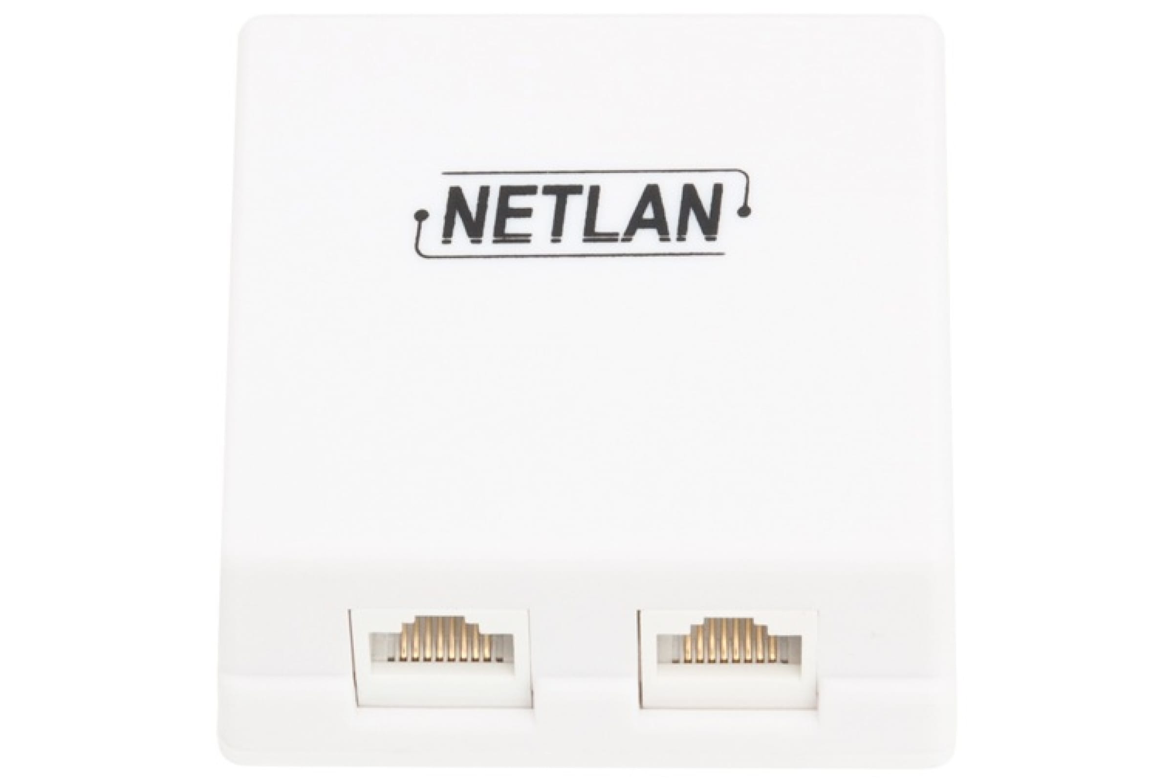 Настенная розетка NETLAN, 2 порта, Кат.5e , 100МГц, RJ45