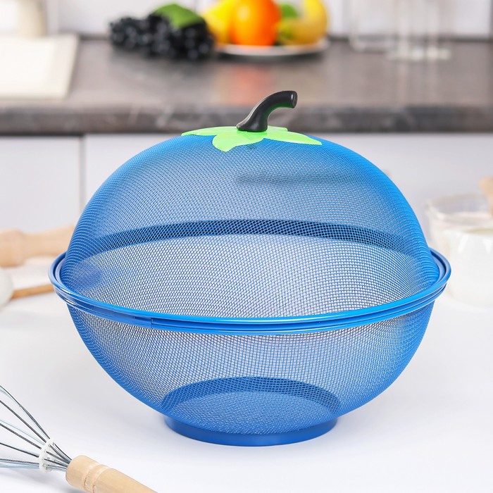 

Сито с крышкой для хранения продуктов Доляна «Вкус», d=28 см, цвет МИКС