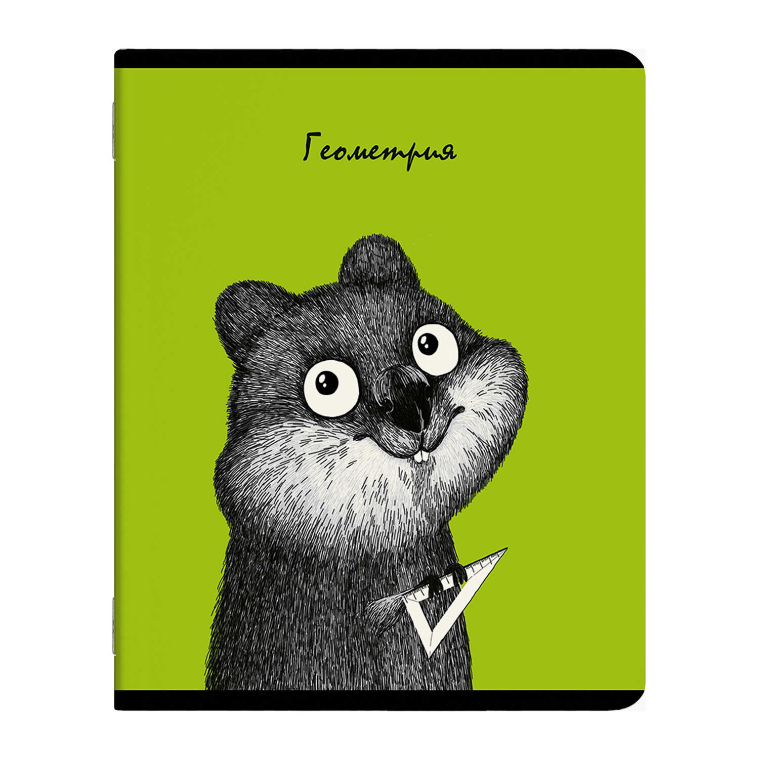 

Тетрадь предметная Феникс+ Геометрия 56875