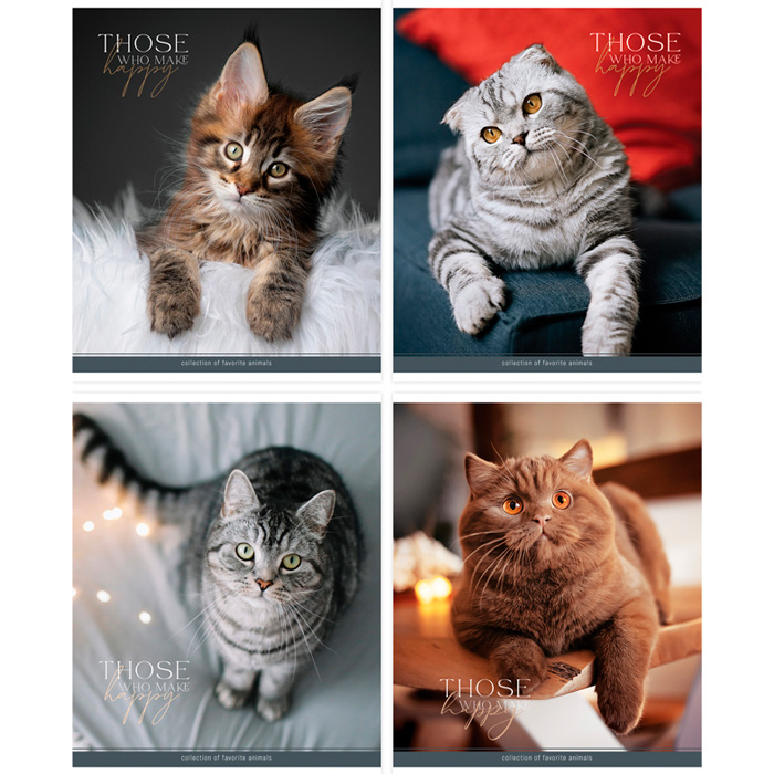 

Тетрадь 96л А5 клетка ArtSpace "Питомцы. Cat" 339929