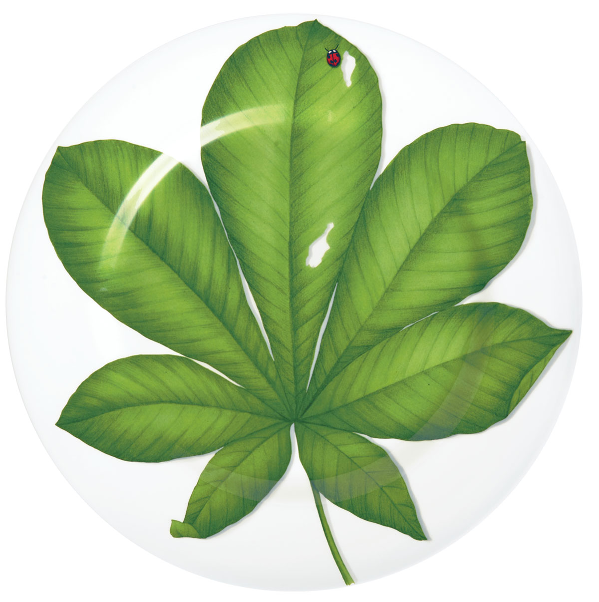 

Сервировочное блюдо Taitu Leaf Freedom 31,5 см, Белый, FREEDOM