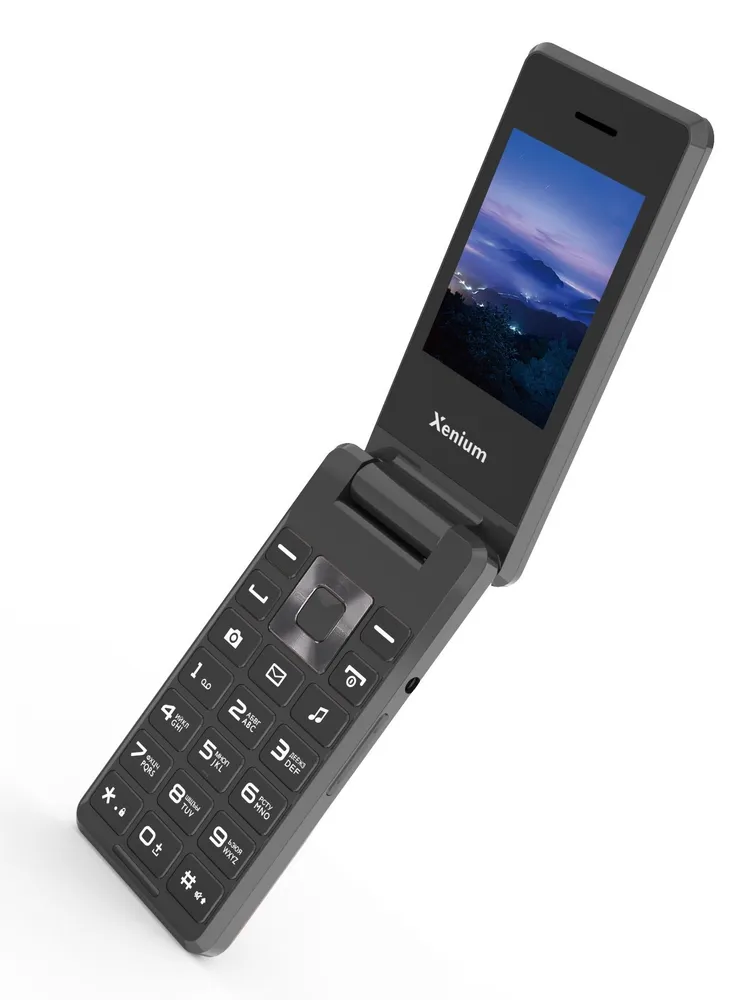 

Мобильный телефон Xenium X600 серый (00-00000392), X600