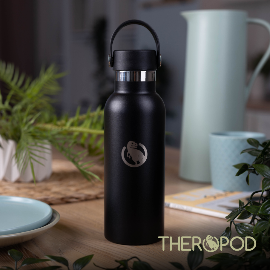 

Термобутылка THEROPOD TP-31P 0.5л черный, TP-31P