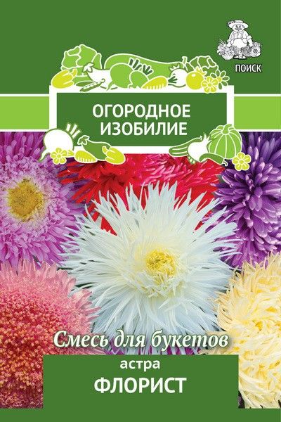 

Семена астра Поиск смесь сортов 706204 1 уп.