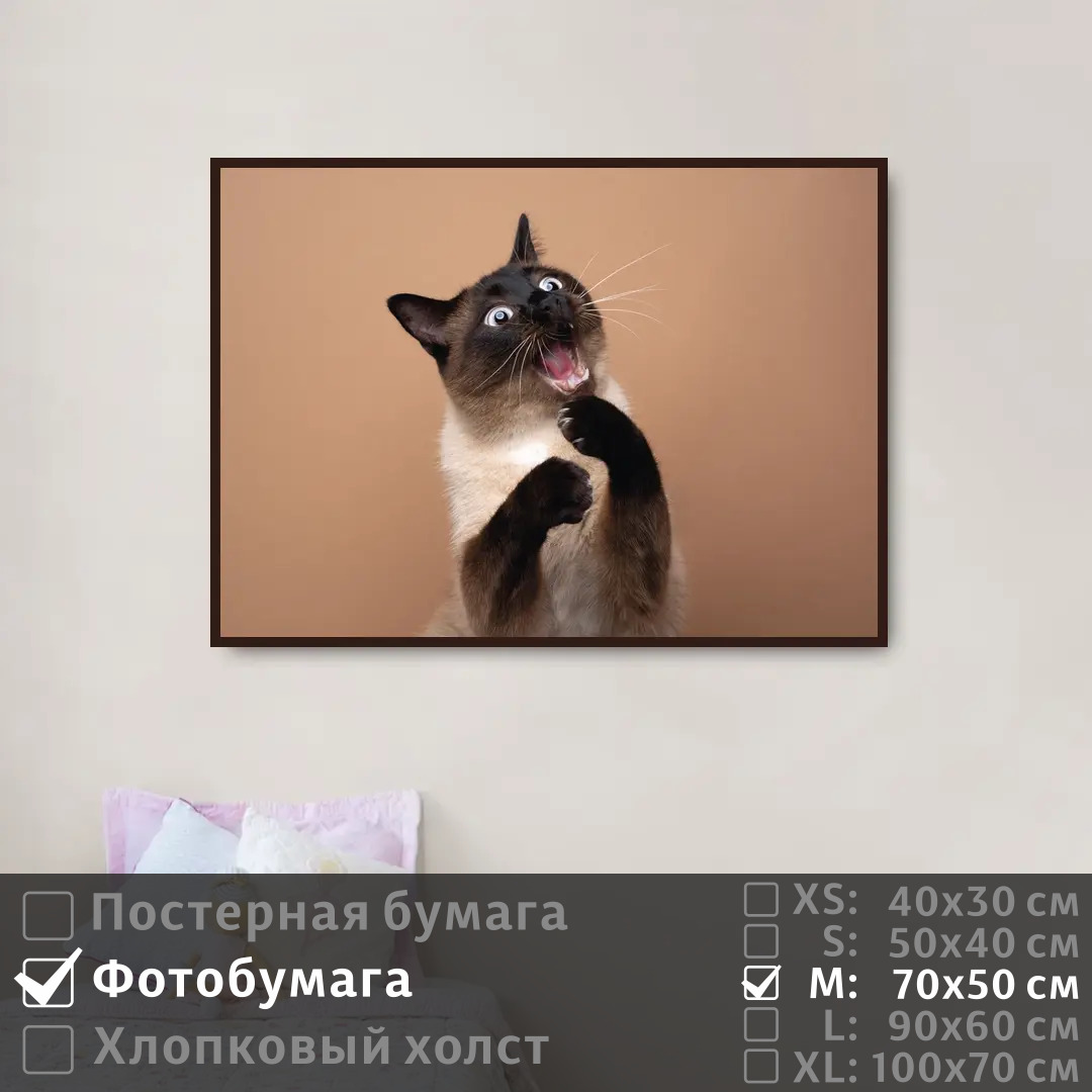 

Постер на фотобумаге ПолиЦентр Портрет забавной кошки 70х50 см, ПортретЗабавнойКошки