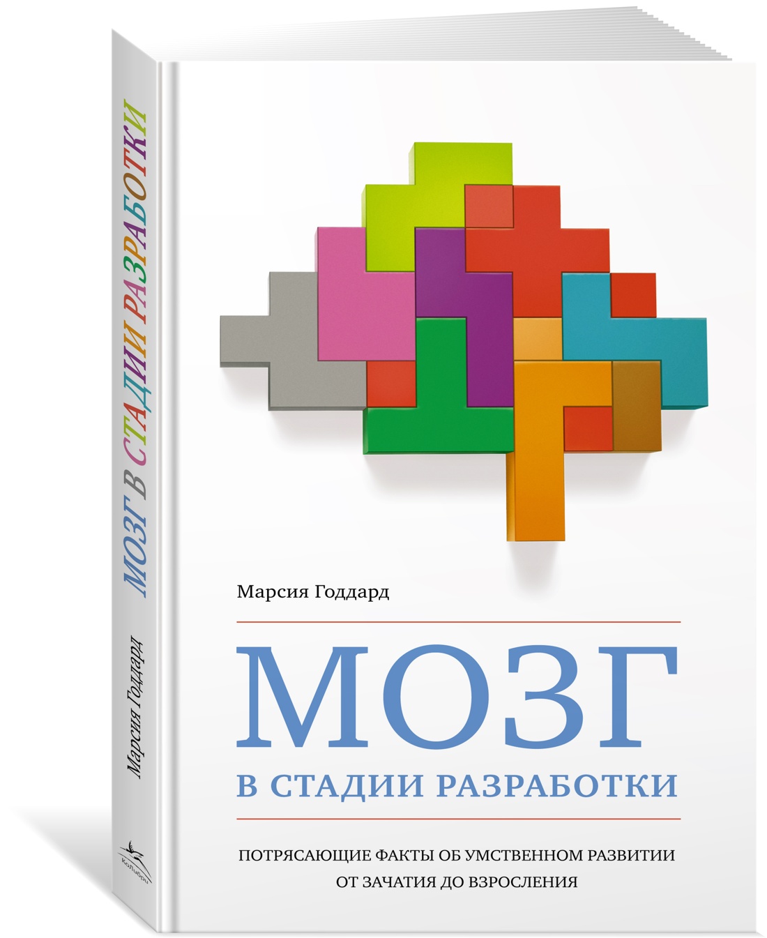 

Мозг в стадии разработки. Потрясающие факты об умственном развитии…