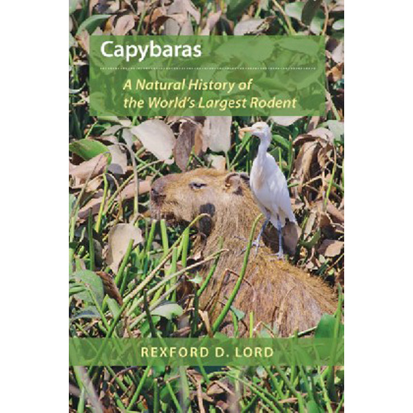 

Capybaras / Lord Rexford D.