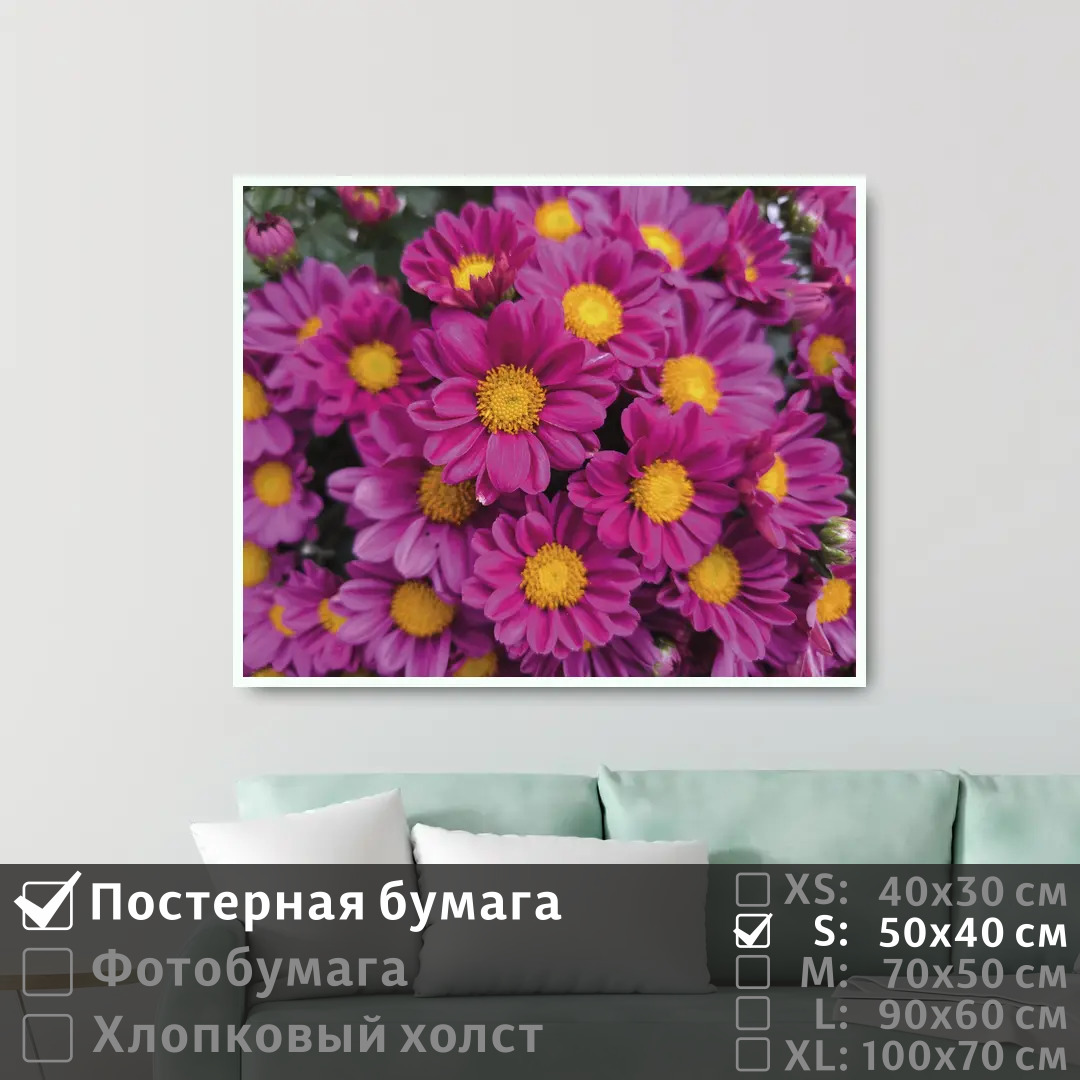 

Постер на стену ПолиЦентр Розовые цветы 50х40 см, РозовыеЦветы