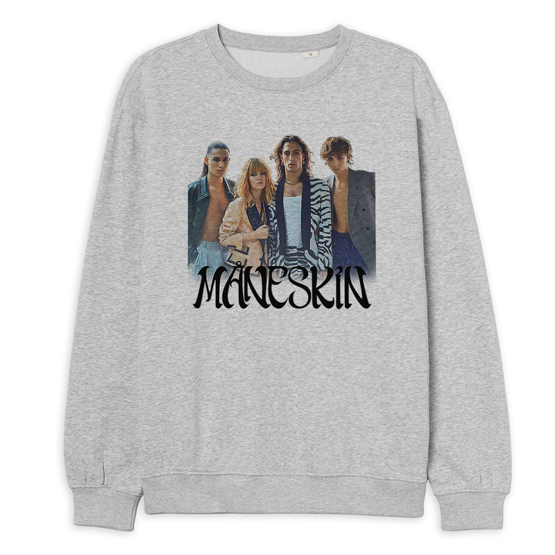 

Свитшот женский Dream Shirts 154-maneskin-swi-1 серый 52 RU, 154-maneskin-swi-1
