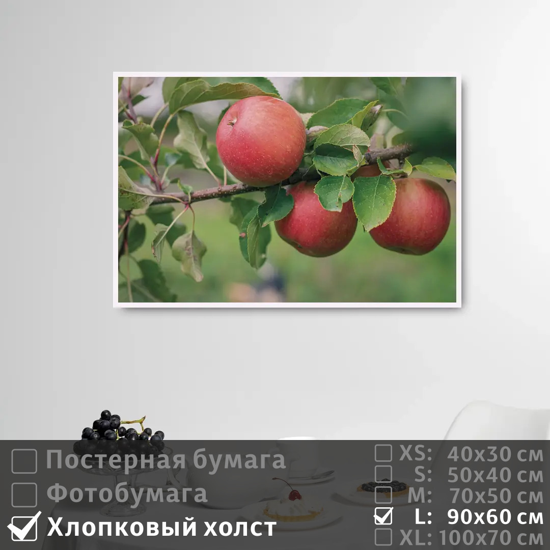 

Постер на холсте ПолиЦентр Красные яблоки на ветке яблони 90х60 см, КрасныеЯблокиНаВеткеЯблони