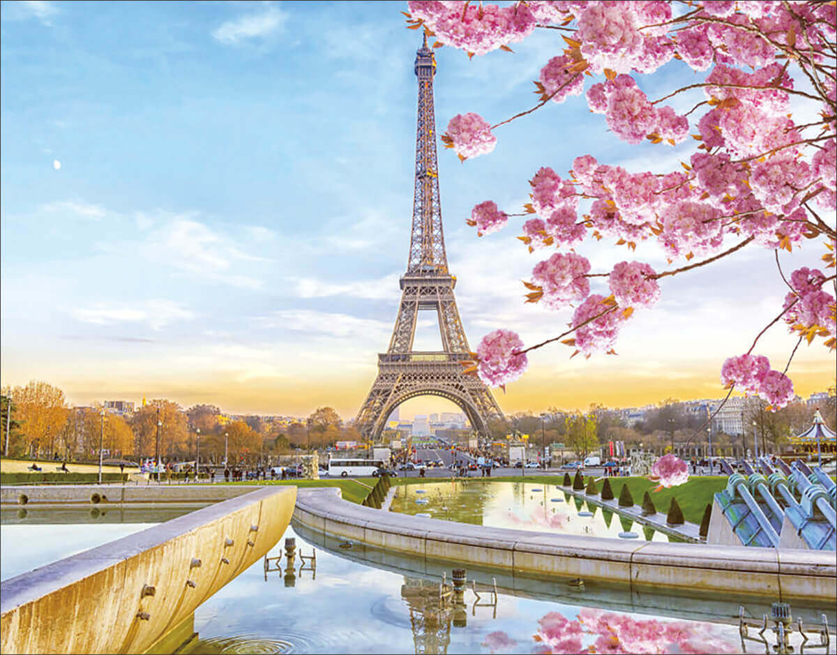 Алмазная мозаика Цветной Цветущий Париж полн выкладка 40х50 см круглые непрозр стразы