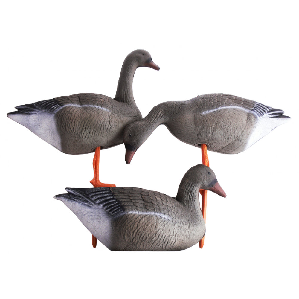 

Birdland гусь гуменник комплект BR-042S/R/F-BG BR-042S/R/F-BG Birdland, BR-042S/R/F-BG