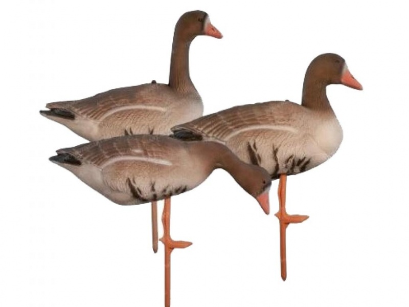 

Birdland гусь белолобый комплект BR-052S/R/F-WFG BR-052S/R/F-WFG Birdland, BR-052S/R/F-WFG