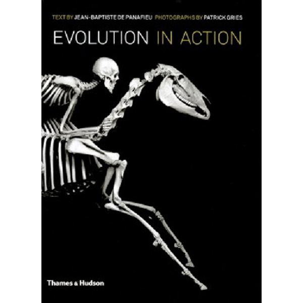 

Evolution in Action / de Panafieu, Jean-Baptiste