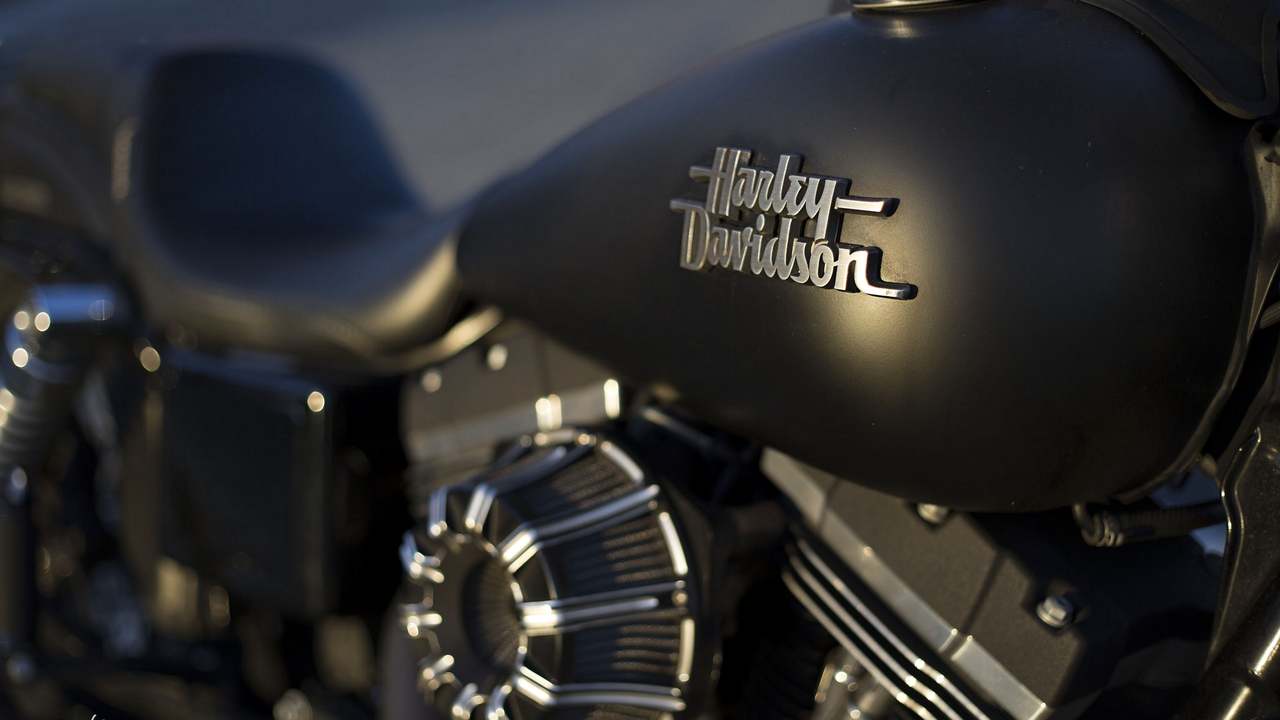 Harley Davidson 1