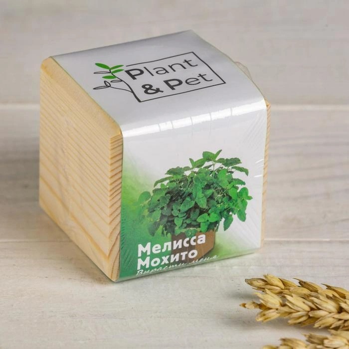 

Набор для выращивания P&P "Мелиса Мохито", Бежевый, PIPS-15-01