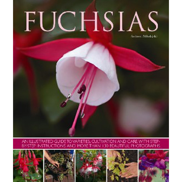 

Fuchsias / Mikolajski Andrew