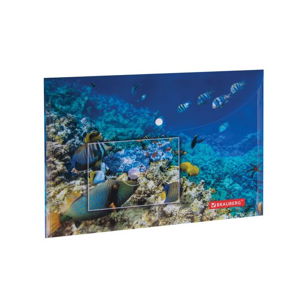 

Папка-конверт с кнопкой BRAUBERG SEA WORLD, А4, 160 мкм, до 100 л цветная печать, 228041, Разноцветный