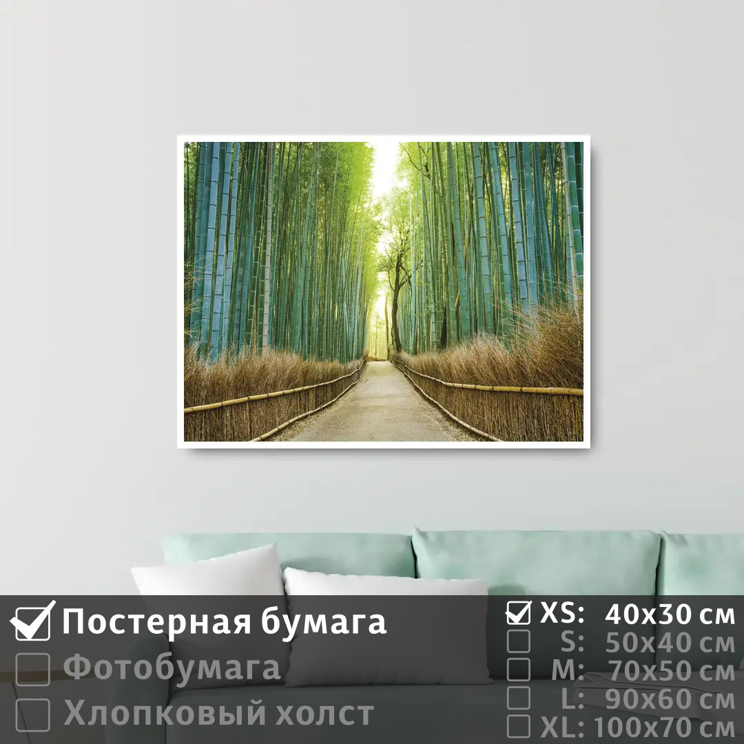 

Постер на стену ПолиЦентр Бамбуковый лес в японии 40х30 см, БамбуковыйЛесВЯпонии