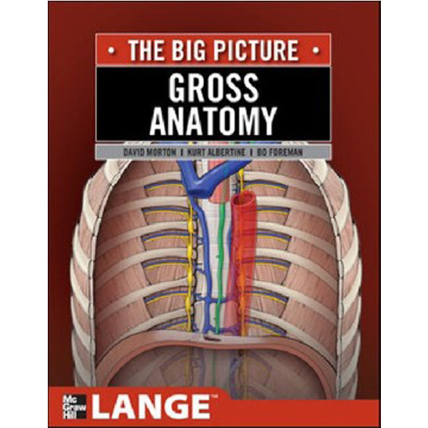 

Gross Anatomy: The Big Picture / Morton