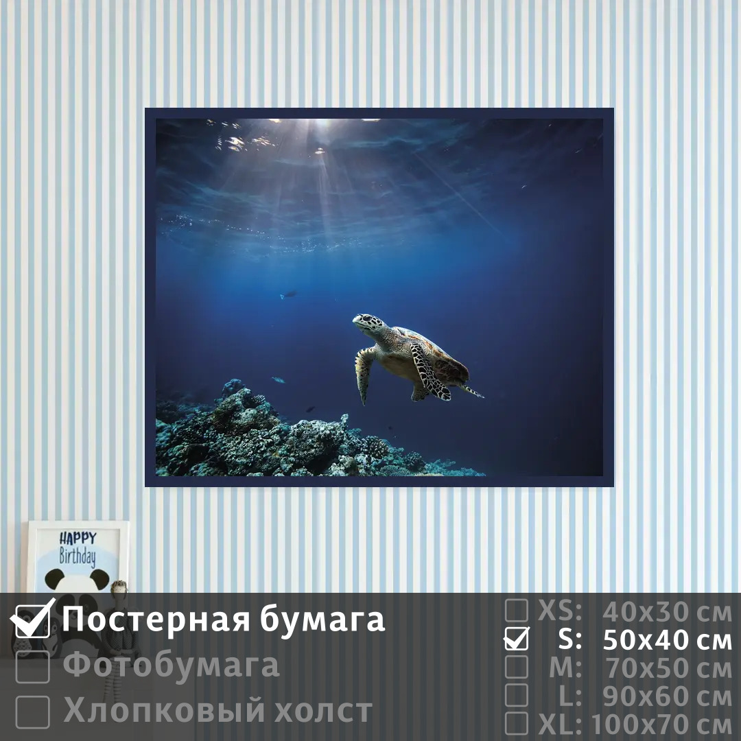 

Постер на стену ПолиЦентр Черепаха на глубине в океане 50х40 см, ЧерепахаНаГлубинеВОкеане
