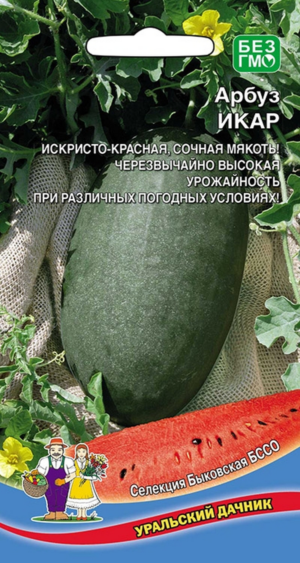 Семена арбуз Уральский дачник Икар 23210 1 уп.